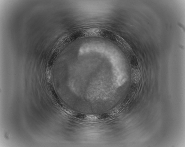 X0000097780701200803281702