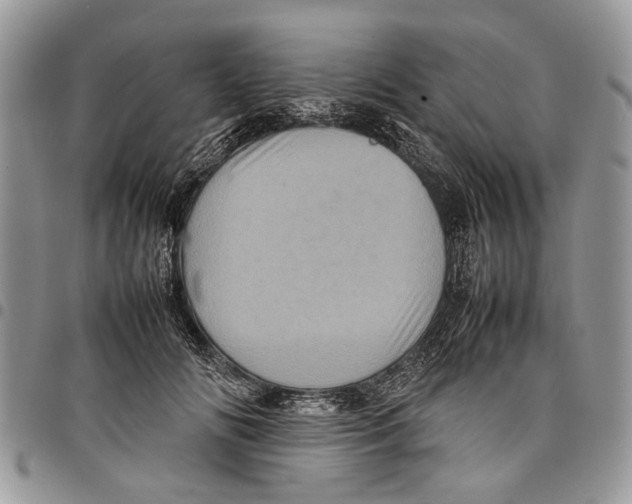 X0000097780702200803281702