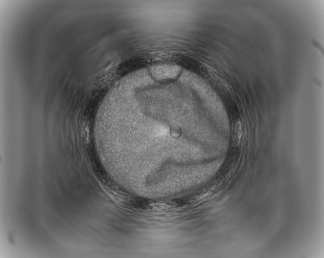 X0000097780703200803281702