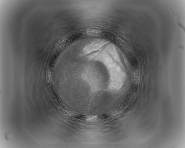 X0000097780705200803281702