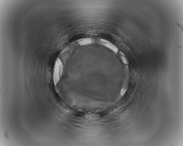 X0000097780707200803281702