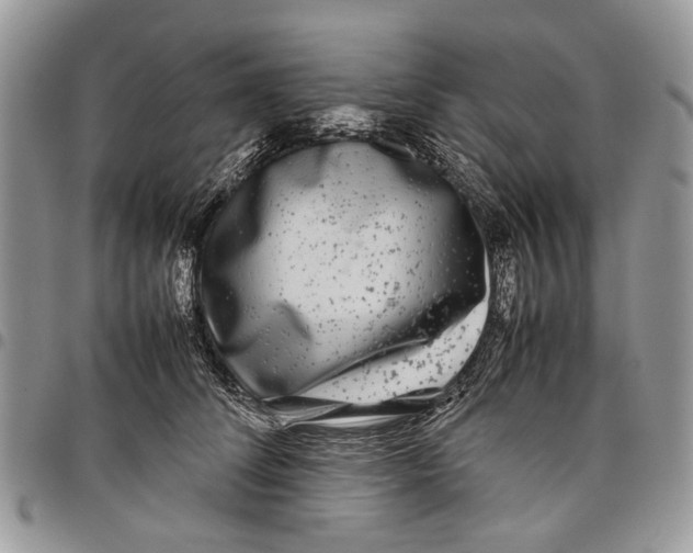 X0000097780708200803281702