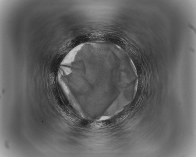 X0000097780711200803281702