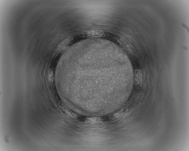 X0000097780713200803281701