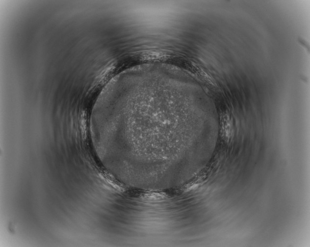 X0000097780716200803281701