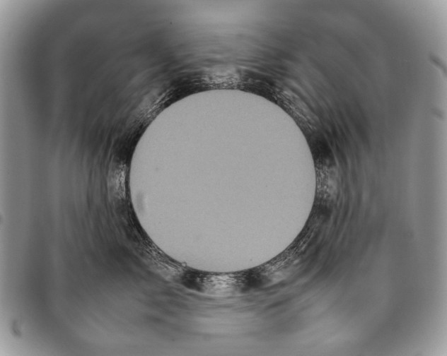 X0000097780717200803281701