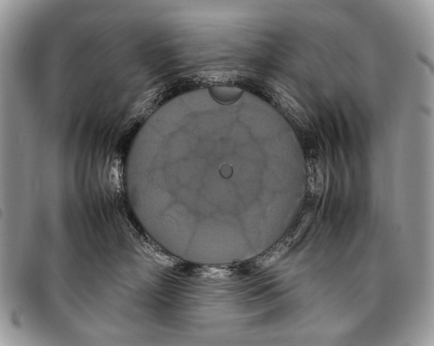 X0000097780718200803281701