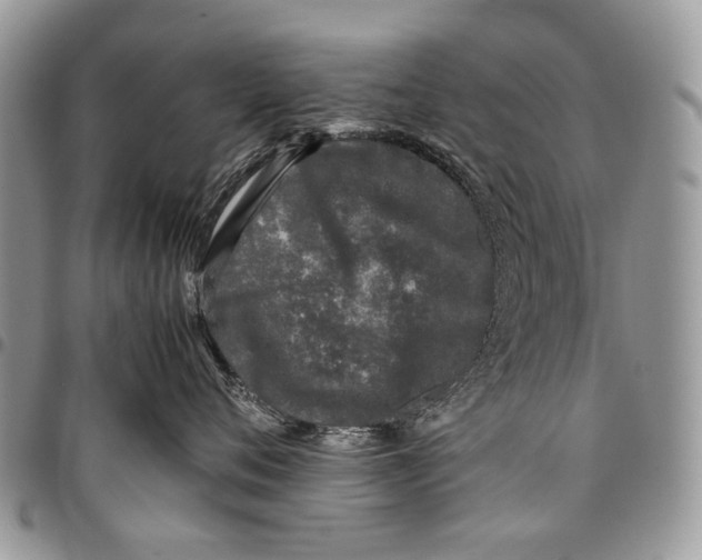 X0000097780720200803281701