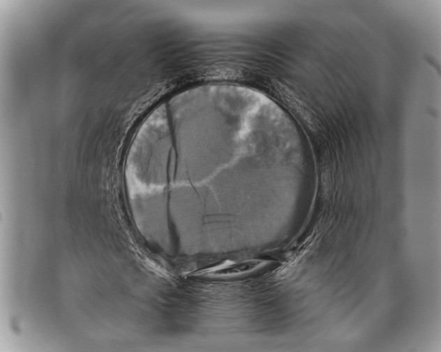 X0000097780721200803281701