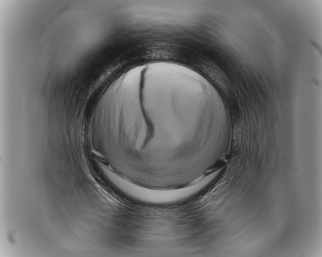 X0000097780722200803281701