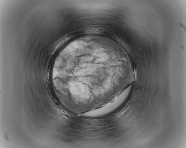 X0000097780723200803281701