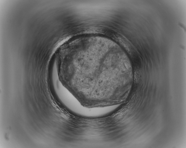 X0000097780724200803281701