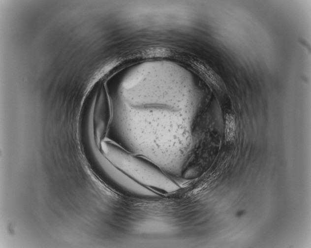 X0000097780726200803281701