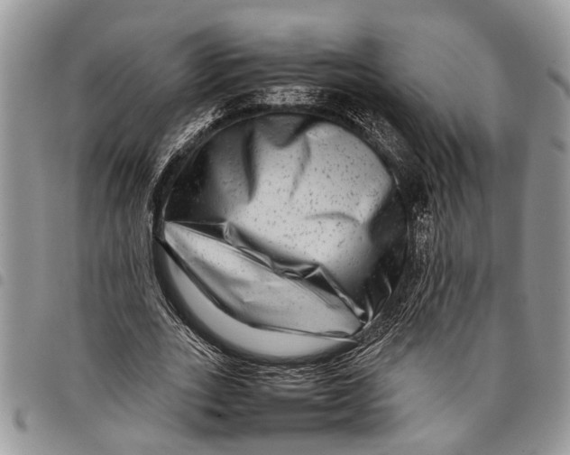 X0000097780727200803281701