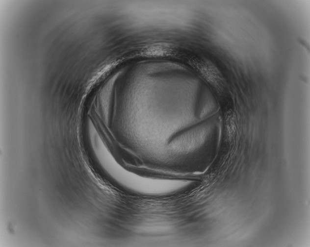 X0000097780728200803281701