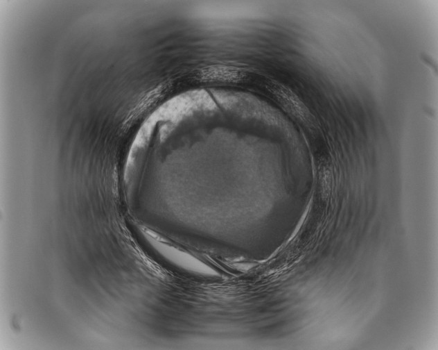 X0000097780729200803281701