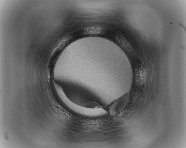 X0000097780731200803281701