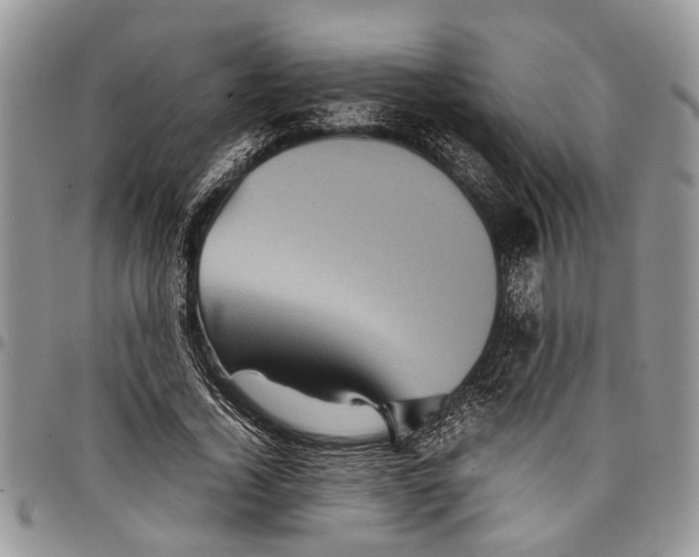 X0000097780732200803281701