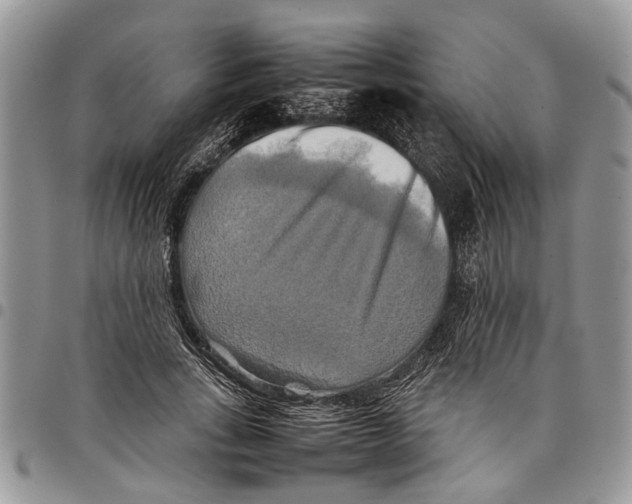 X0000097780735200803281701