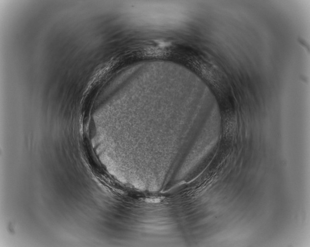 X0000097780736200803281701