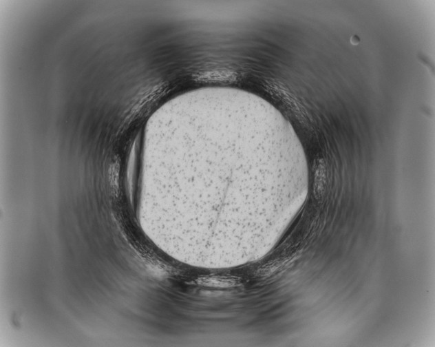 X0000097780739200803281701