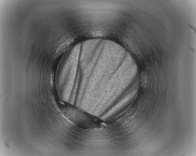 X0000097780740200803281701