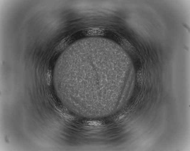 X0000097780741200803281701