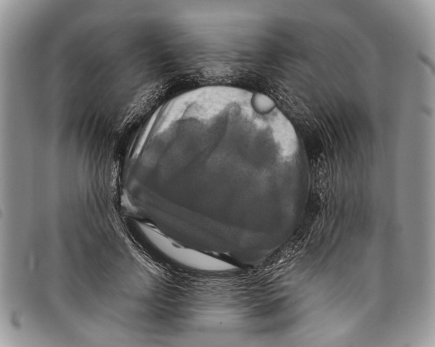 X0000097780742200803281701