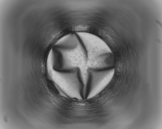 X0000097780743200803281701