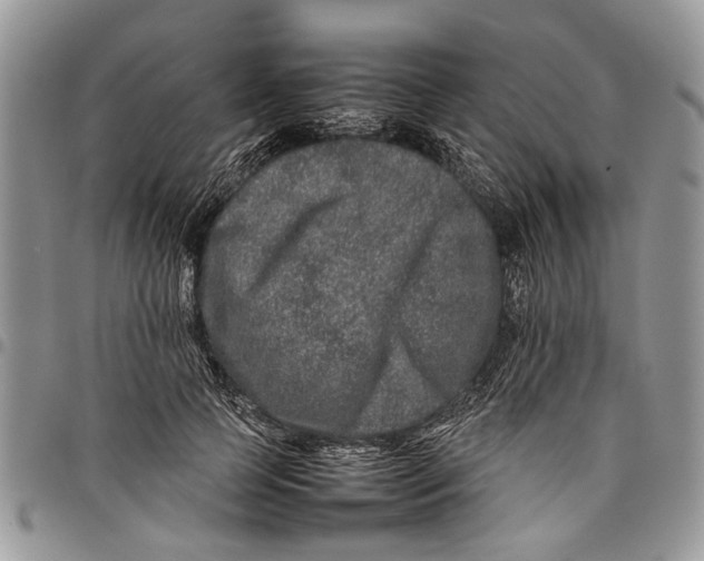 X0000097780745200803281701