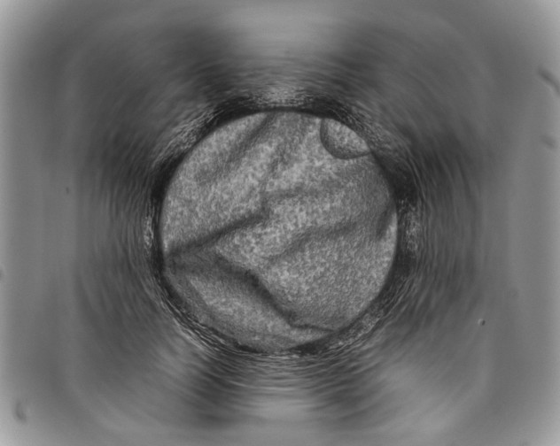 X0000097780746200803281701