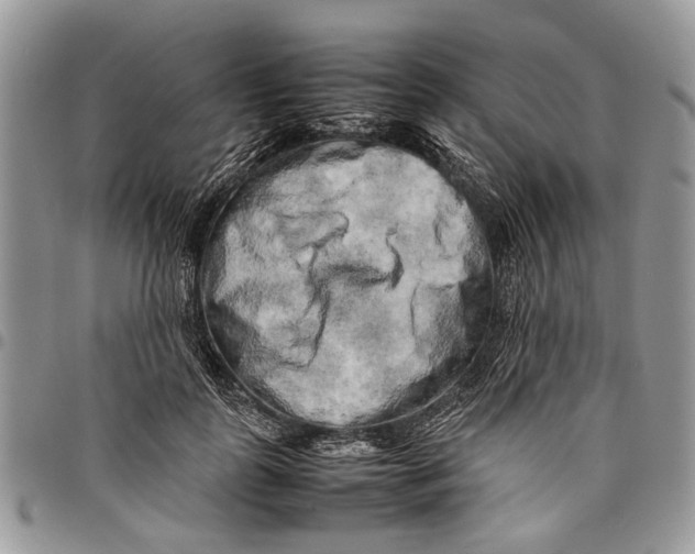 X0000097780747200803281701