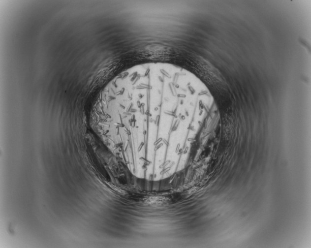 X0000097780748200803281701