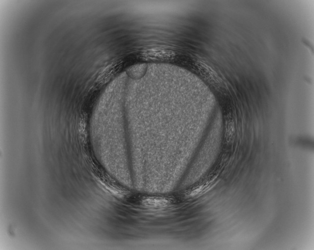 X0000097780749200803281701