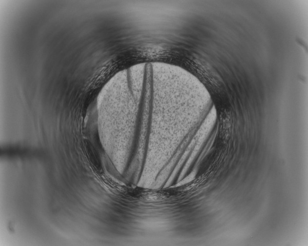 X0000097780750200803281701