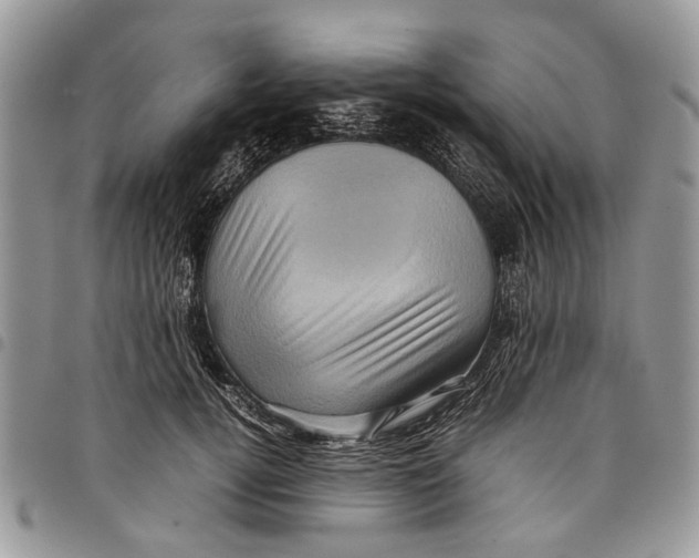 X0000097780752200803281701