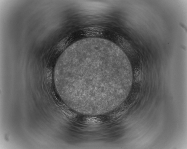 X0000097780753200803281701