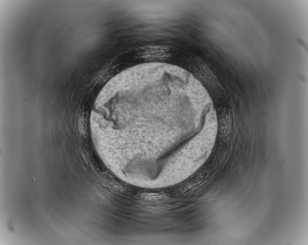 X0000097780755200803281701