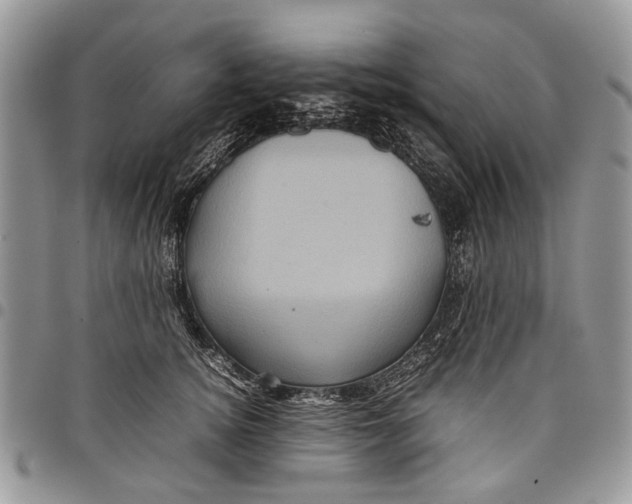 X0000097780756200803281701