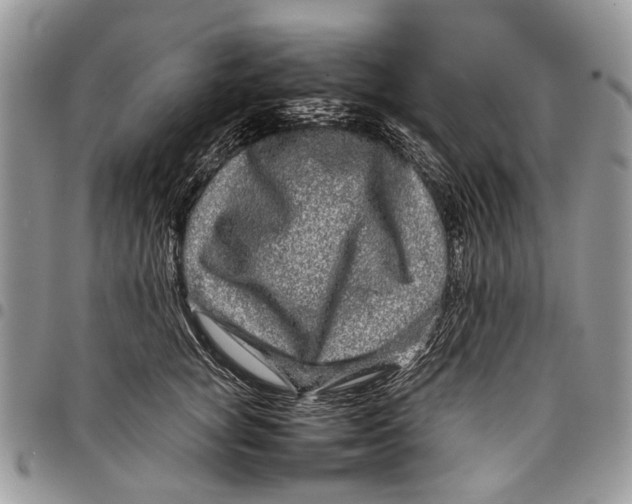 X0000097780757200803281701