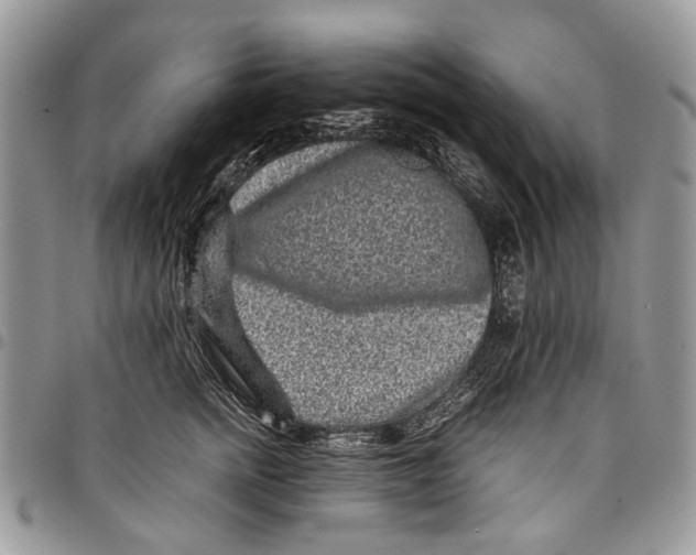 X0000097780758200803281701