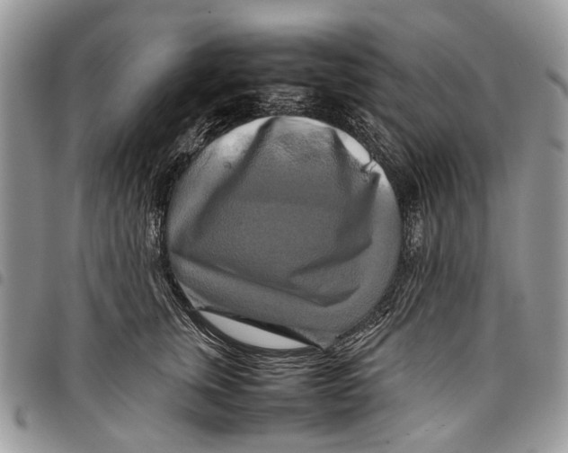 X0000097780759200803281701