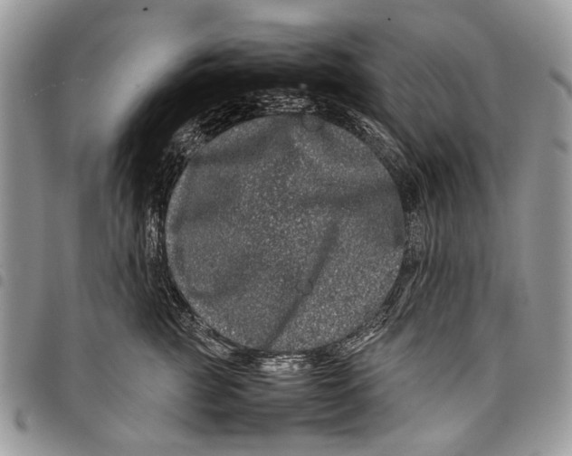 X0000097780761200803281701