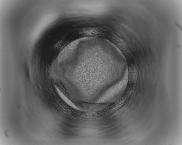 X0000097780762200803281701