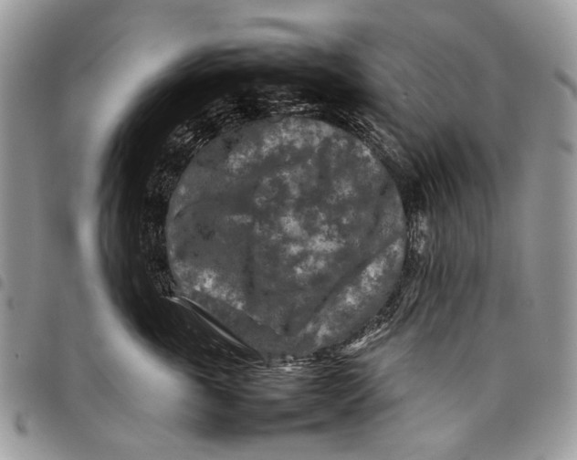 X0000097780763200803281701