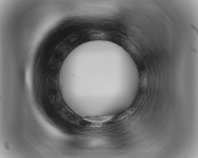 X0000097780764200803281701