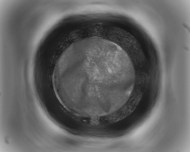 X0000097780766200803281701