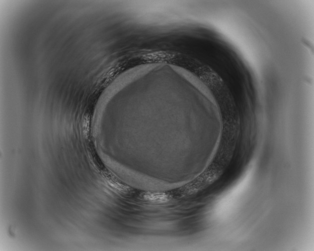 X0000097780767200803281701