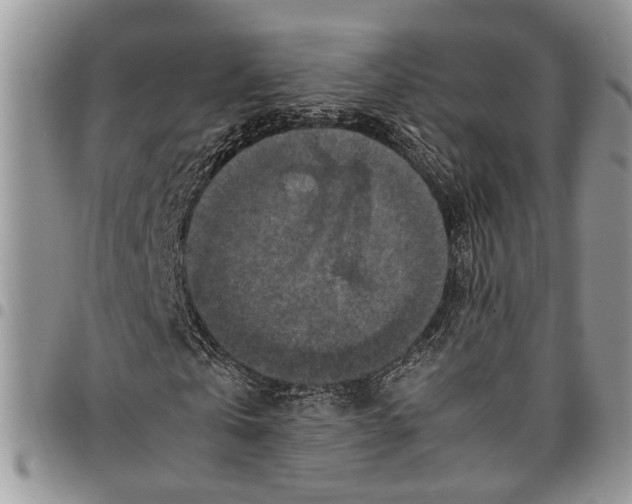 X0000097780769200803281701