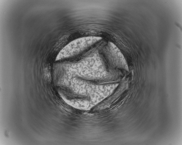 X0000097780771200803281701